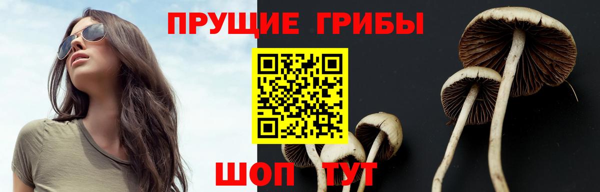 Галлюциногенные грибы GOLDEN TEACHER  Вход с VPN  Канаш 
